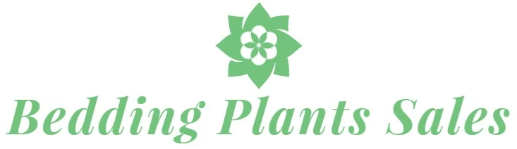 Bedding Plants Sales