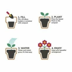 Pansy Cool Wave® Mixed Speed Planter for Hanging baskets -Bedding Plants Sales PL6216 add image 1 dadc